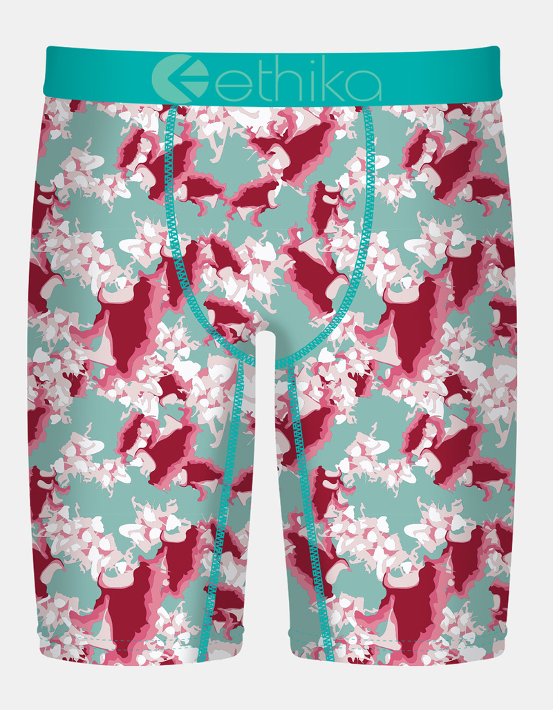 ETHIKA In Bloom Staple Boys Boxer Briefs image number 0