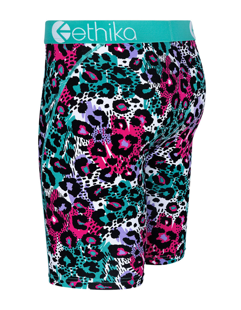 ETHIKA Coasta Leo Boys Boxer Briefs image number 1