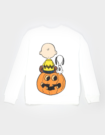 RSQ x Peanuts Friends Boys Crewneck Sweatshirt Primary Image
