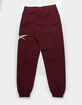 REEBOK Classics Vector Mens Track Pants image number 2