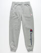 CHAMPION Flock Script Heather Grey Boys Jogger Pants image number 2