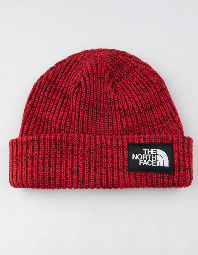 THE NORTH FACE Salty Dog Mens Beanie image number 0
