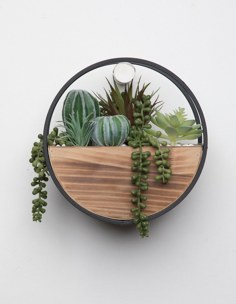 FLORA BUNDA Hanging Wall Succulent Plant image number 0