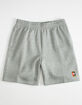 NIKE SB GFX Mens Sweat Shorts image number 1