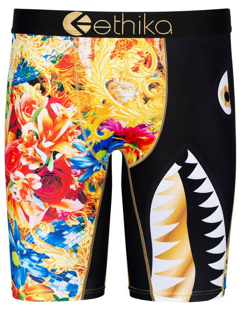 ETHIKA Bomber Gianni Mens Boxer Briefs image number 0