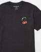 FASTHOUSE Ripe One Mens Tee image number 3