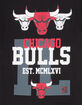 MITCHELL & NESS Chicago Bulls Home Team Mens Tee image number 3