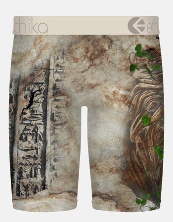 ETHIKA Bomber In Stone Staple Mens Boxer Briefs Alternative Image