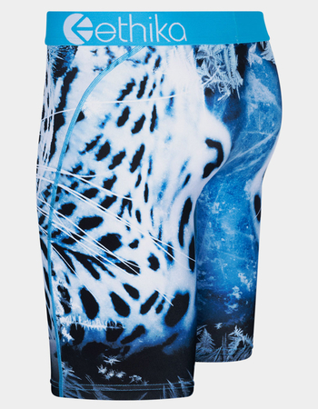 ETHIKA Snow Force Staple Mens Boxer Briefs Alternative Image