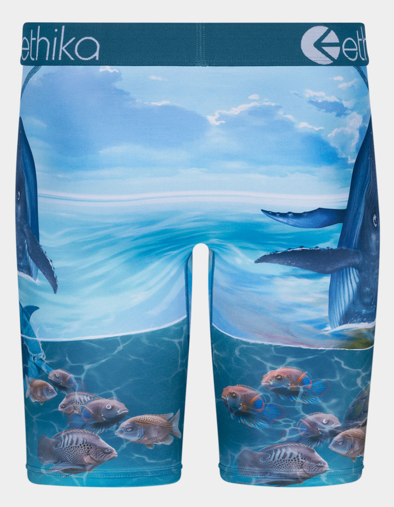 ETHIKA Voyage Staple Mens Boxer Briefs image number 2