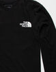 THE NORTH FACE Box NSE Mens T-Shirt image number 4