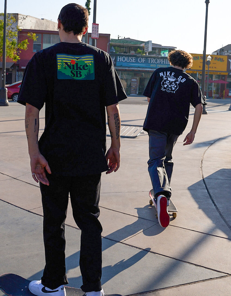 NIKE SB Approach Mens Tee image number 4