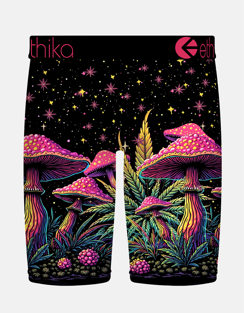 ETHIKA Trip Trail Staple Mens Boxer Briefs image number 1