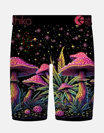 ETHIKA Trip Trail Staple Mens Boxer Briefs Alternative Image