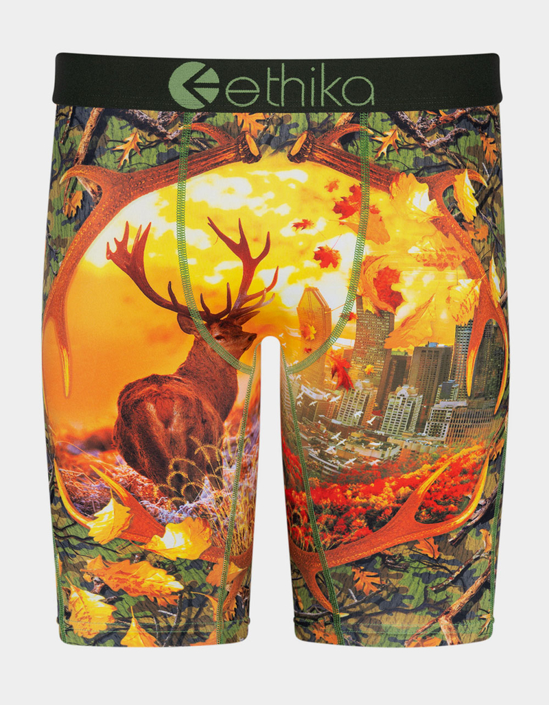 ETHIKA Going Stag Staple Boys Boxer Briefs image number 0