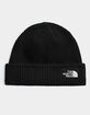 THE NORTH FACE Salty Lined Beanie image number 1
