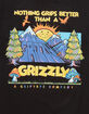 GRIZZLY Sunshine Mens Tee image number 2