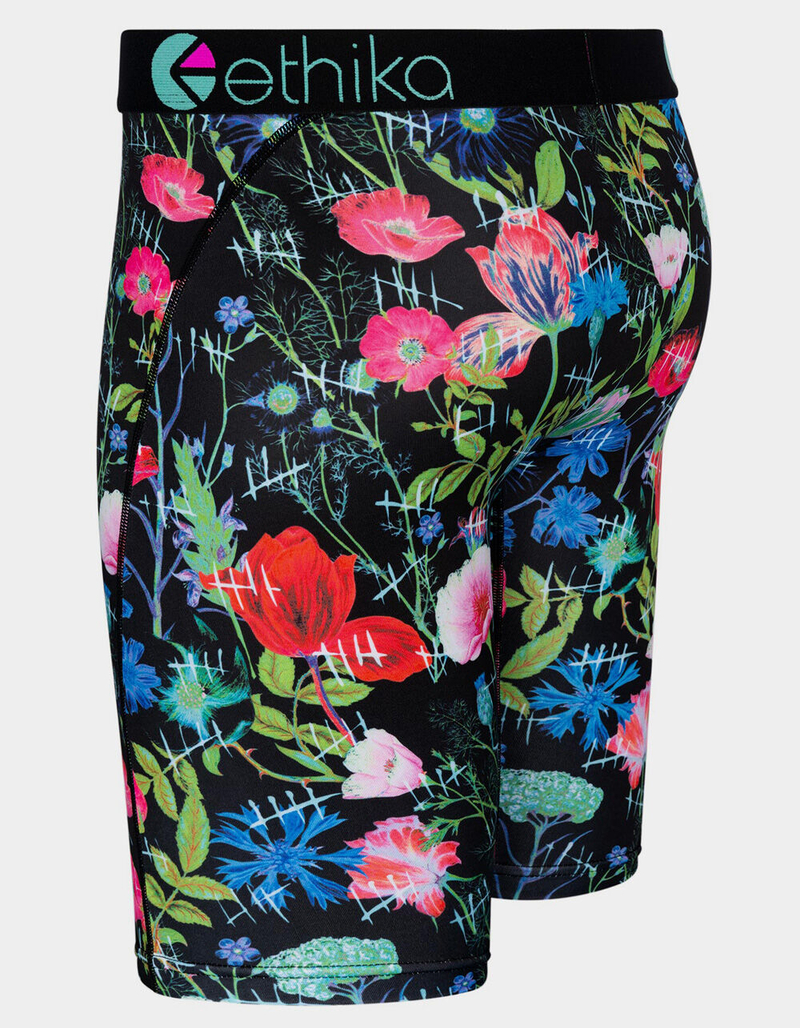 ETHIKA Lifespan Mens Boxer Briefs image number 1