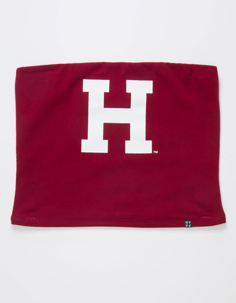HYPE AND VICE Harvard University Womens Tube Top RED Tillys