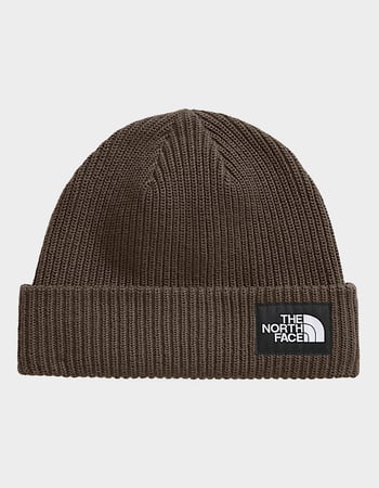 THE NORTH FACE Salty Lined Beanie Primary Image