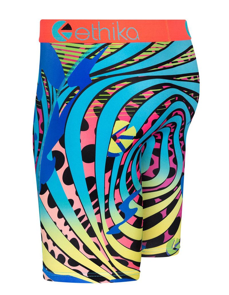 ETHIKA Black Light Boys Boxer Briefs image number 1