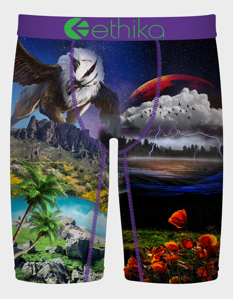 ETHIKA The Flight Mens Boxer Briefs image number 0