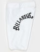 BILLABONG Throwback 22 Mens Boardshorts image number 10