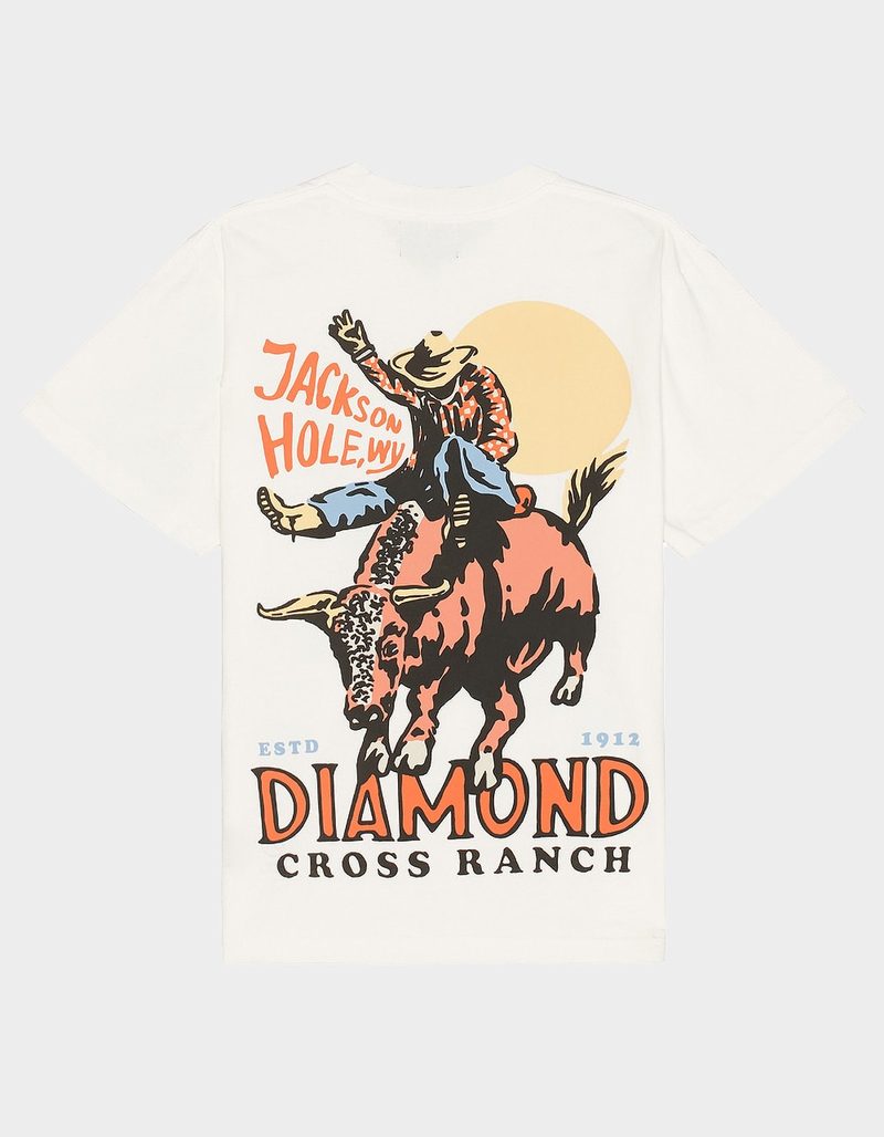 DIAMOND CROSS RANCH Sunshine Bull Mens Tee image number 0