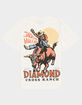 DIAMOND CROSS RANCH Sunshine Bull Mens Tee image number 1