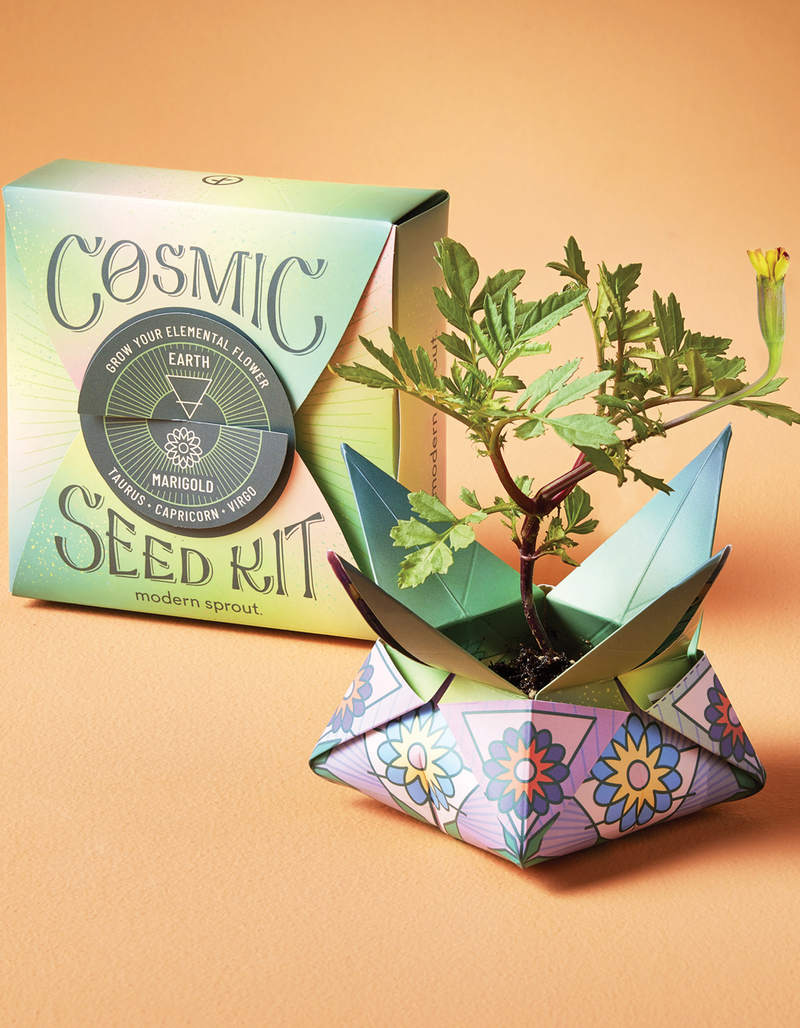 MODERN SPROUT Cosmic Seed Kit - Earth Marigold image number 7