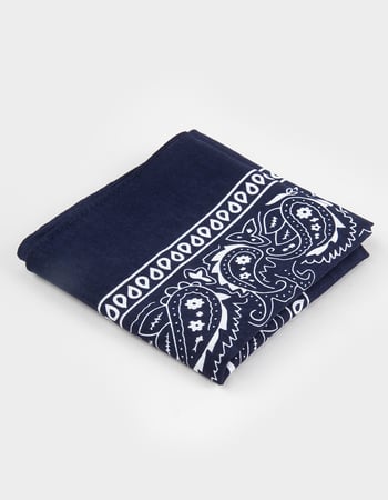Navy Paisley Bandana Alternative Image