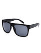 BLUE CROWN Weston Wayfarer Sunglasses image number 1