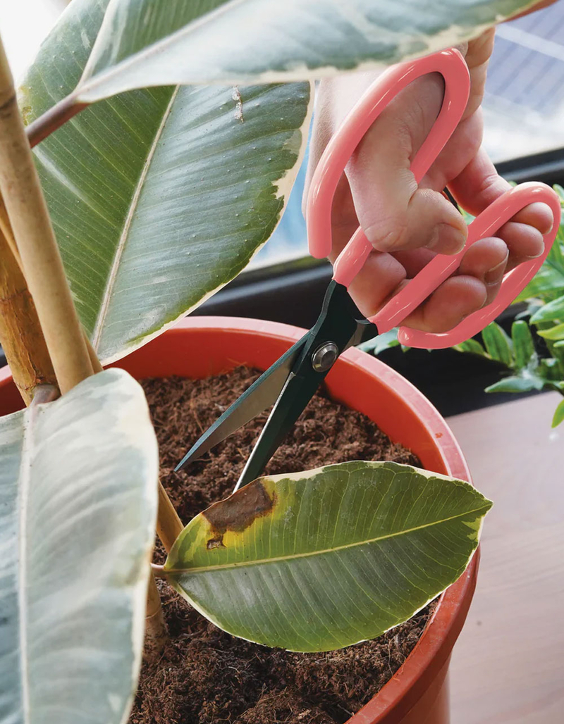 Houseplant Scissors image number 2