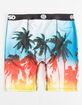 PSD Palms Boys Boxer Briefs image number 2