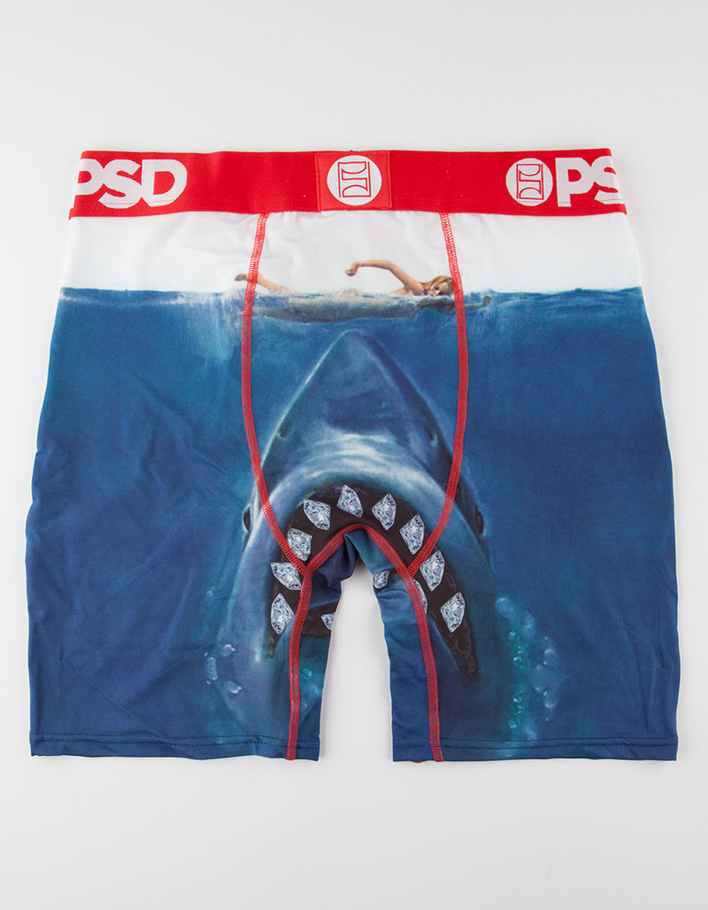 PSD Swim Mens Boxer Briefs image number 1