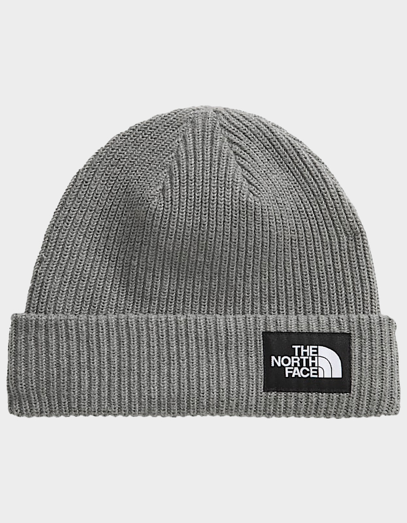 THE NORTH FACE Salty Lined Beanie image number 0