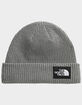 THE NORTH FACE Salty Lined Beanie image number 1