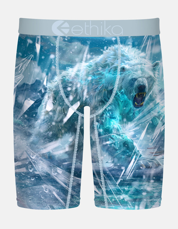 ETHIKA Pola Staple Boys Boxer Briefs Primary Image