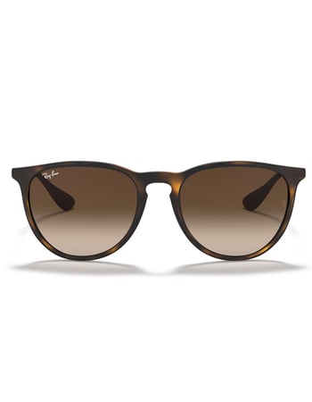 RAY-BAN Erika Classic Sunglasses Alternative Image