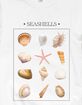SHELL Seashells Collection Unisex Crewneck Sweatshirt image number 2