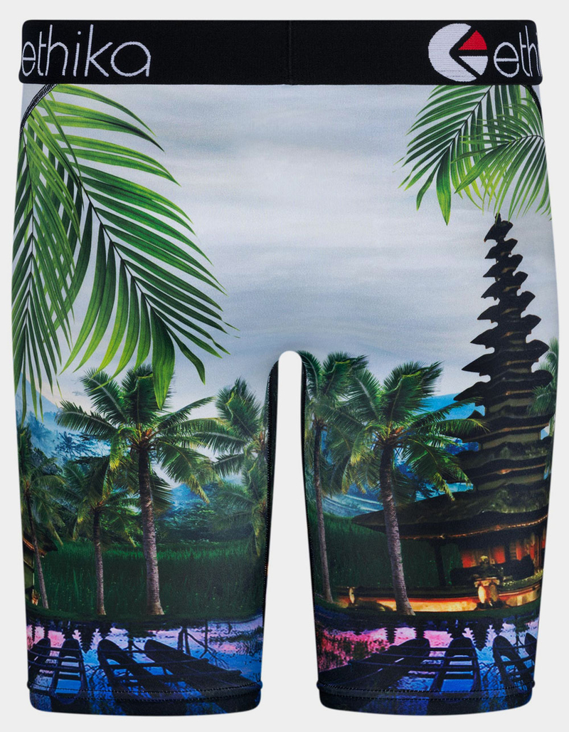 ETHIKA Bomber Primal Staple Mens Boxer Briefs image number 2