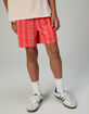 RSQ Boys Mesh Shorts image number 4