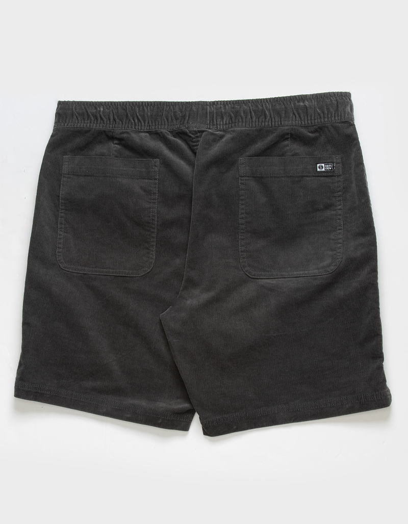 SALTY CREW Sandbar Casual Mens Shorts image number 2