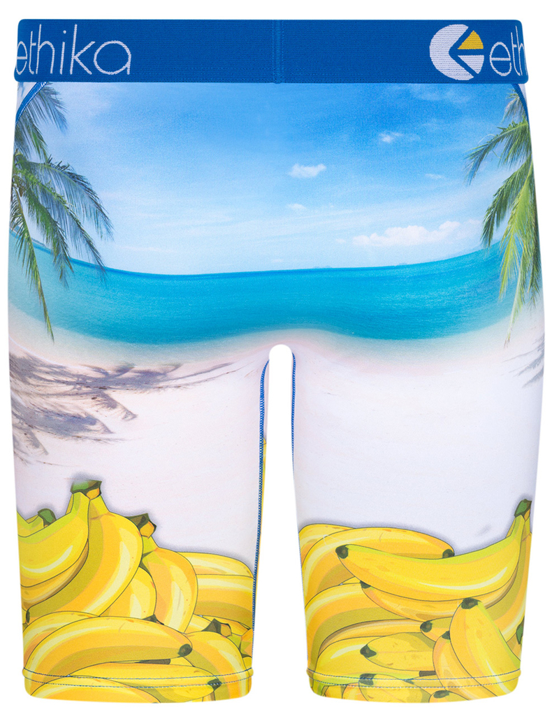 ETHIKA Banana Hammock Staple Mens Boxer Briefs image number 2