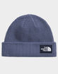 THE NORTH FACE Salty Lined Beanie image number 1