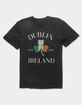 IRELAND Dublin Clover Flag Distressed Unisex Tee image number 1