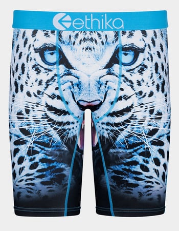 ETHIKA Snow Force Staple Boys Boxer Briefs Primary Image