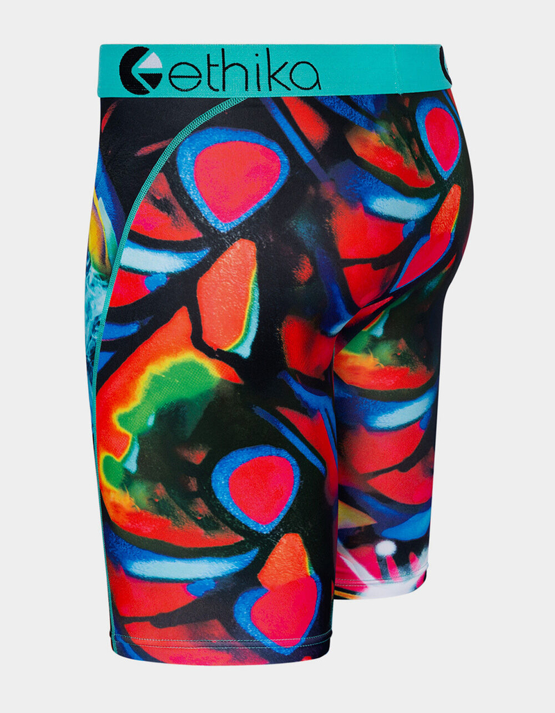 ETHIKA Painted Primate Boys Boxer Briefs image number 1