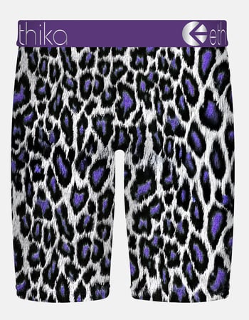 ETHIKA Axell Hodges Signature Series Staple Mens Boxer Briefs Alternative Image