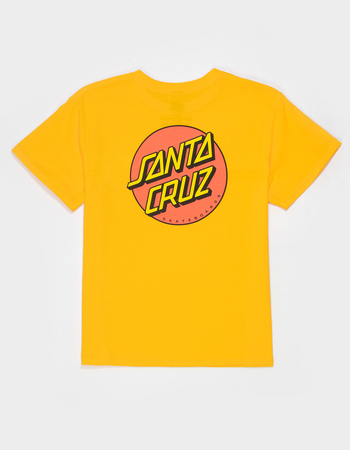 SANTA CRUZ Classic Dot Boys Tee Alternative Image